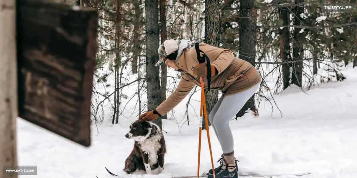 澳门威尼斯人网站——突破极限边界,定义你的精彩!⚽